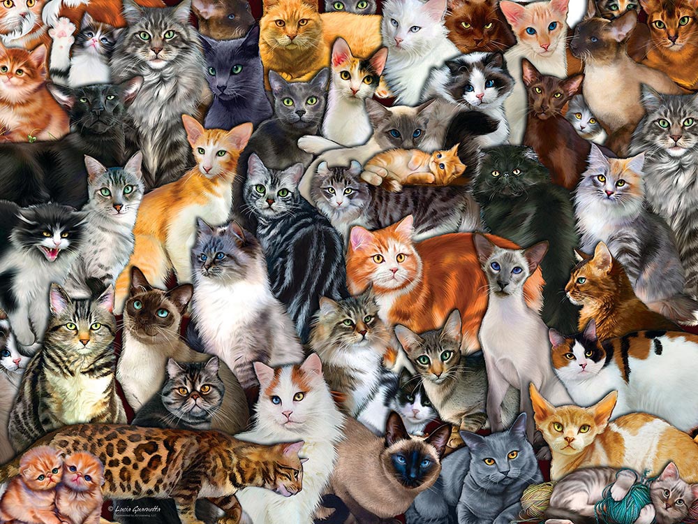 ARB Games :: Jigsaw Puzzles :: 300XL Large Pieces Jigsaw Puzzles ...